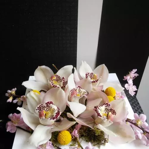 Orchidée