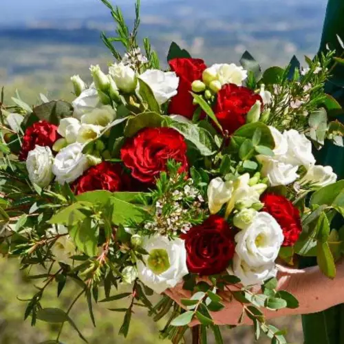 Nature Et Fleurs