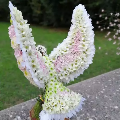 L'oiseau