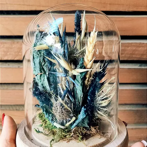 Fleurs séchées, cloche bleue