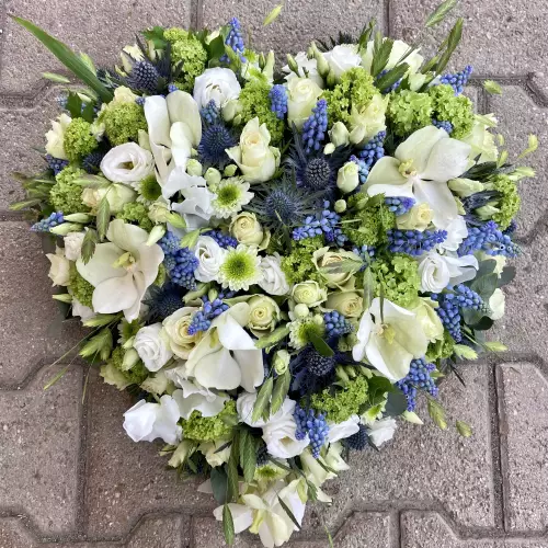 Composition en coeur bleue et blanc