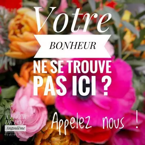 A FLEUR DE POT Angoulême 05 45 92 52 57