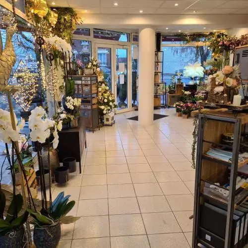 Intérieur 1