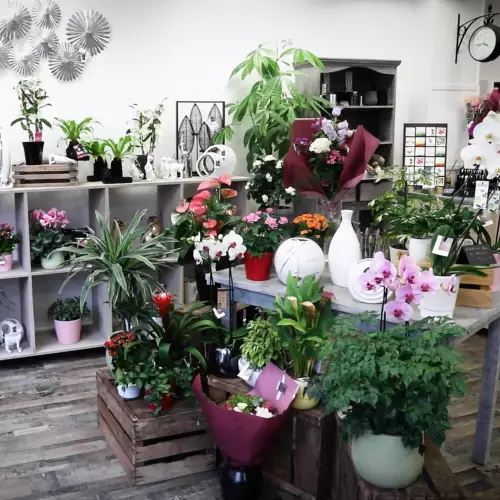 Intérieur boutique