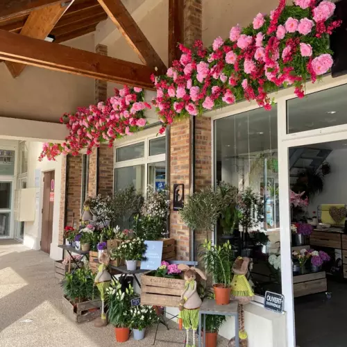 Jolies fleurs de Cécile