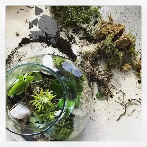 Terrarium