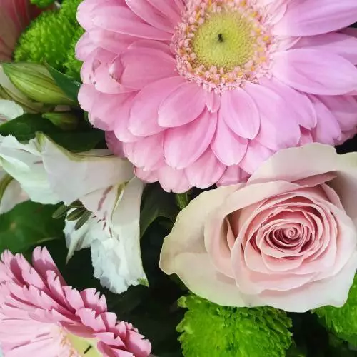 Fleurs composées