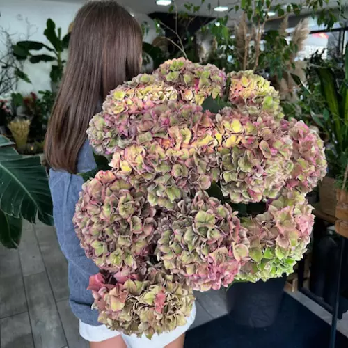 BOUQUET