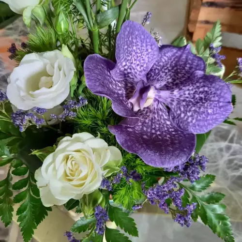 Orchidée bleue