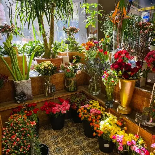Intérieur Boutique ensoleillé