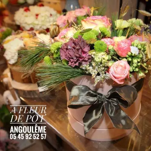 A FLEUR DE POT ANGOULÊME 05 45 92 52 57