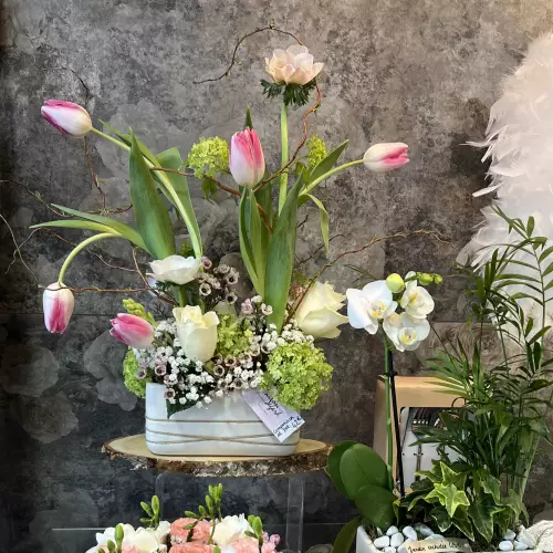 Compo tulipes