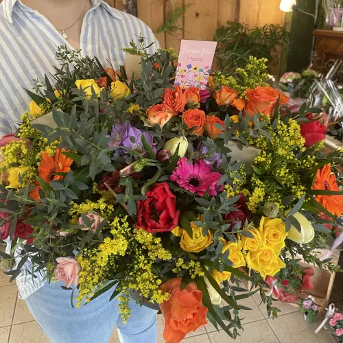 Tulipes