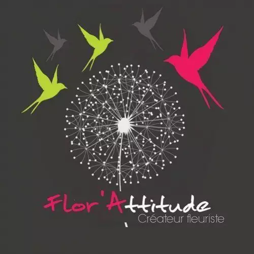 Logo du magasin