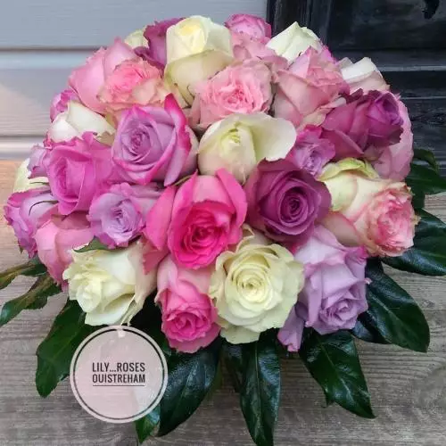 LiliRose