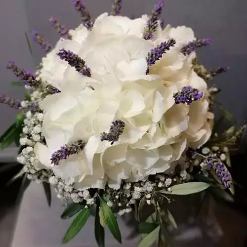 Coton