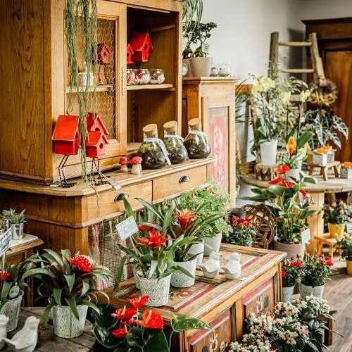 Boutique
