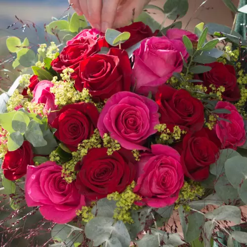 Fabbri Fleurs