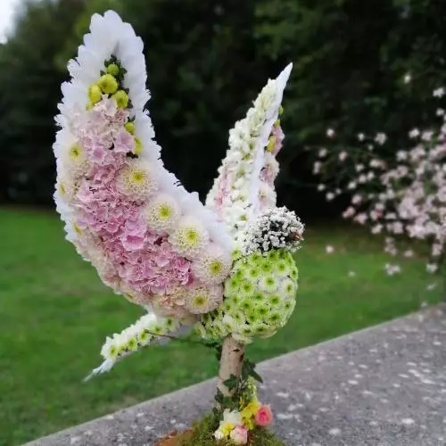 L'oiseau