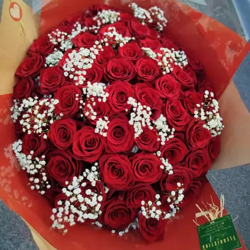 Bouquet de 60 roses rouges (gros bouton, longues tiges) avec gypsophile