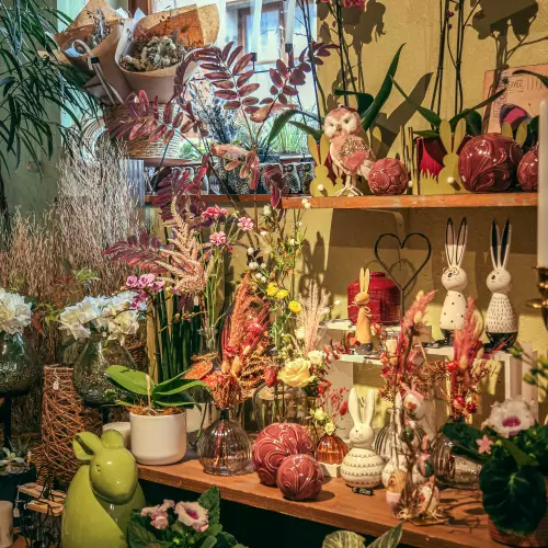Boutique Zeste