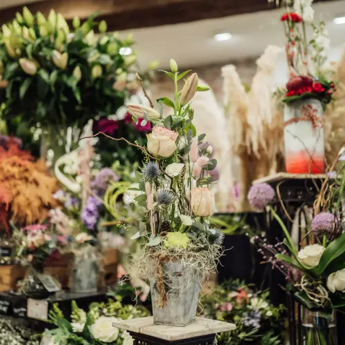boutique