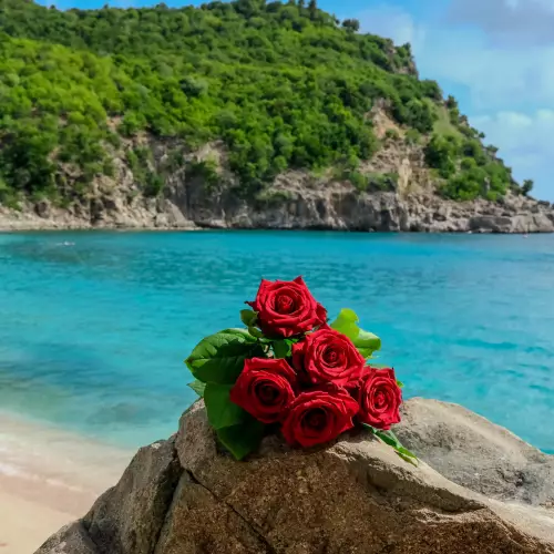 Romantisme & Charme Caribéen