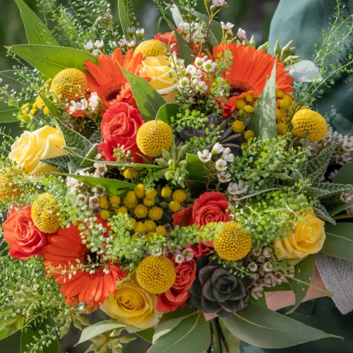 Jolies Fleurs de Cécile
