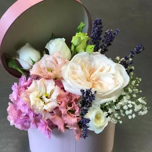 Boîte surprise