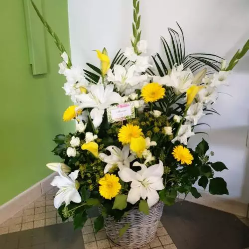 Panier en douceur