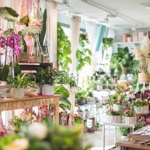 Magasin
