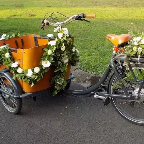 Triporteur