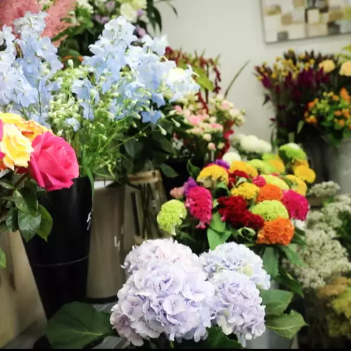 Présentoir de fleurs coupées