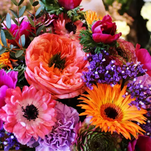 Mélange de couleur chaleureux