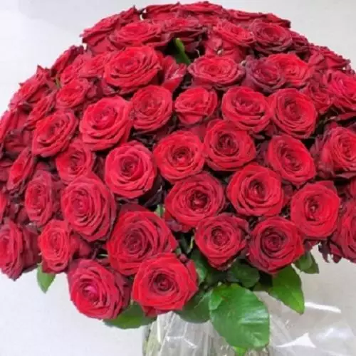 Roses rouges