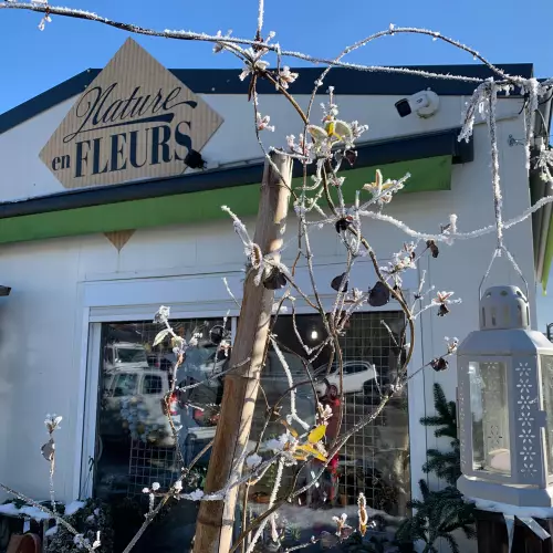 exterieur boutique l hiver