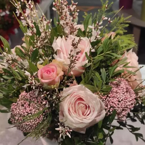 Rosa