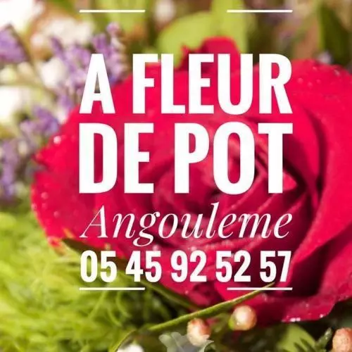 A FLEUR DE POT ANGOULÊME 05 45 92 52 57