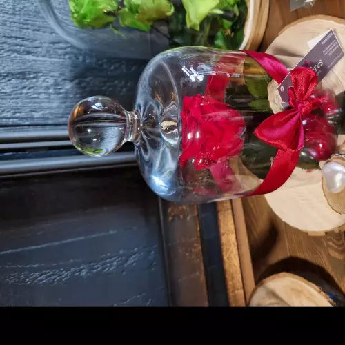 Rose éternelle sous cloche