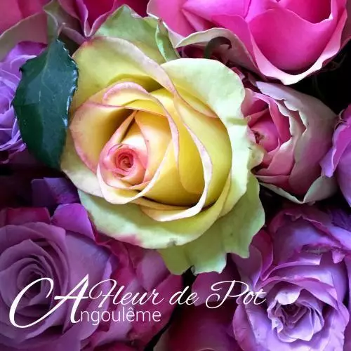 A FLEUR DE POT ANGOULÊME 05 45 92 52 57