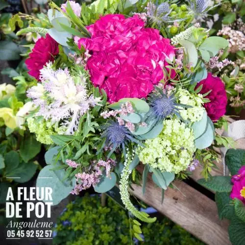 A FLEUR DE POT ANGOULÊME 05 45 92 52 57