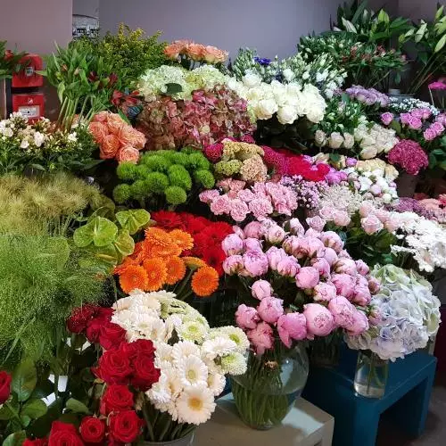 fleurs coupées