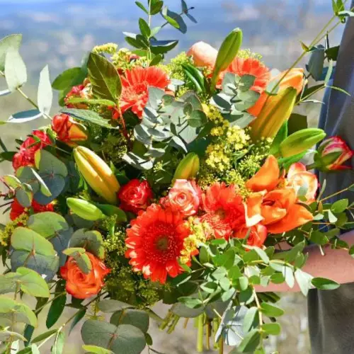 L'Amaryllis