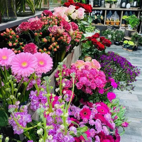 rayon de fleurs