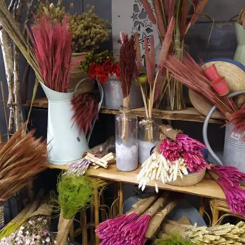 grand choix de fleurs secs