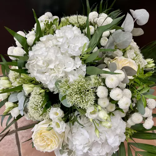 Pivoine et Cie