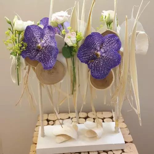 vanda dans sa splendeur