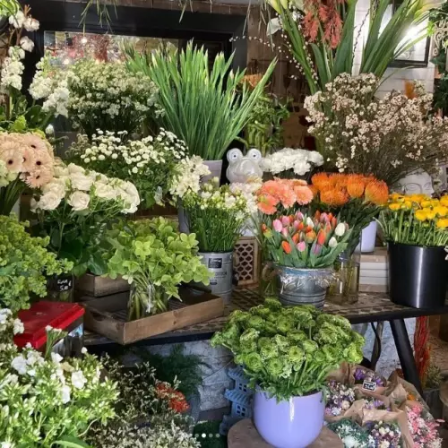 3 fleurs de saison