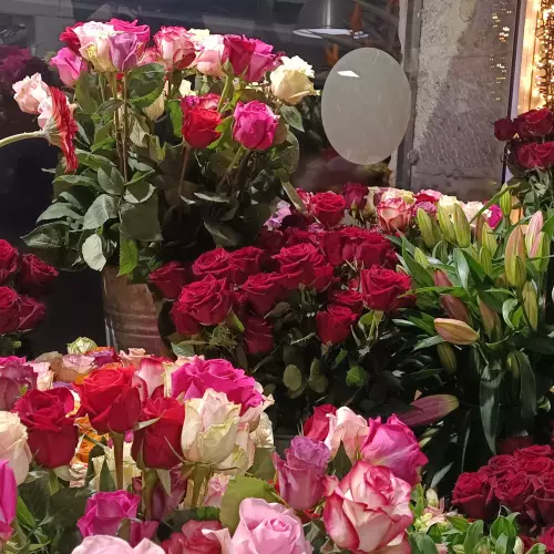 Roses