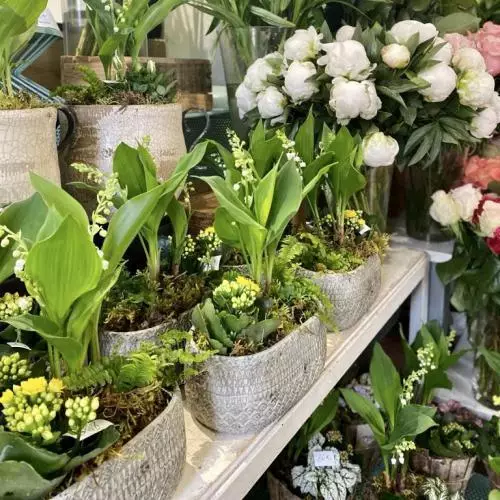 Le muguet chez Fior Fleurs